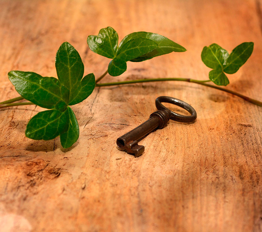 Realizzazioni firmate Lignum Venetia