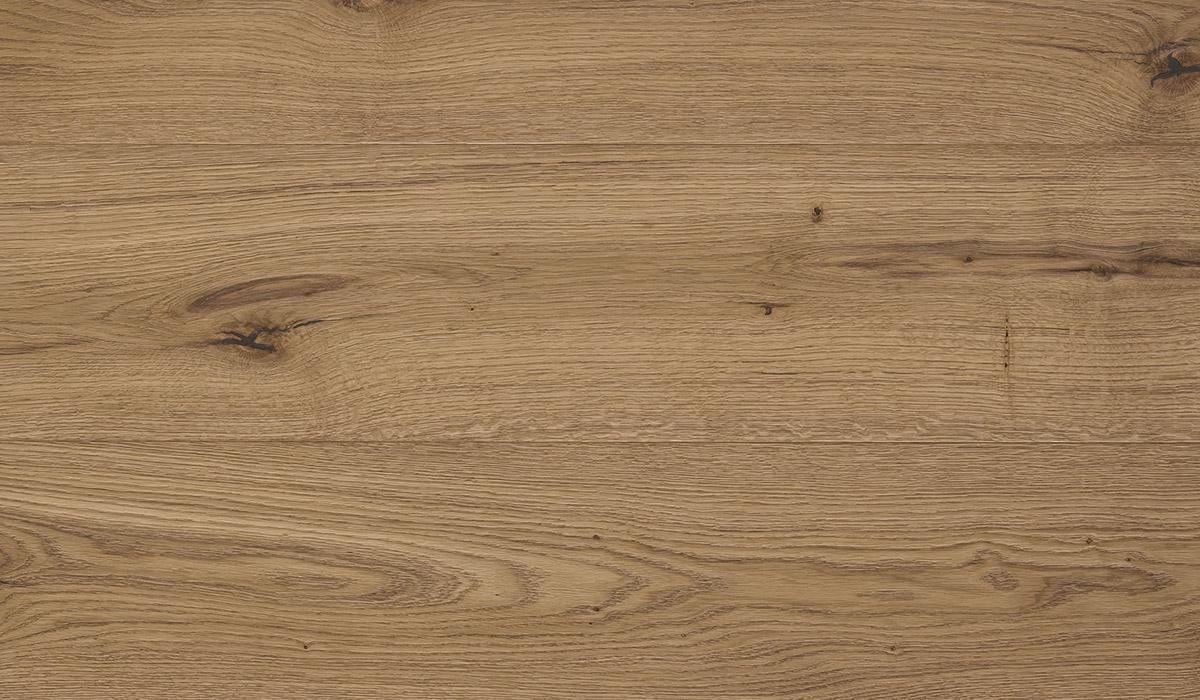 OAK - Ca’ Foscari | Collezione Venezia