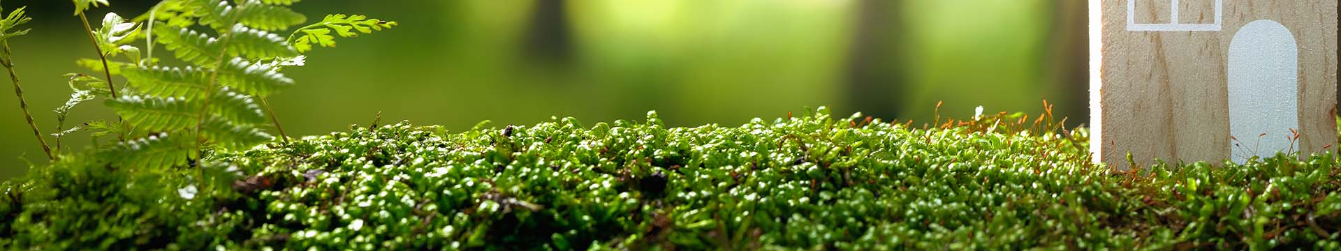 When Wood Floor becomes aromatherapy: terpenes, the scent of well-being