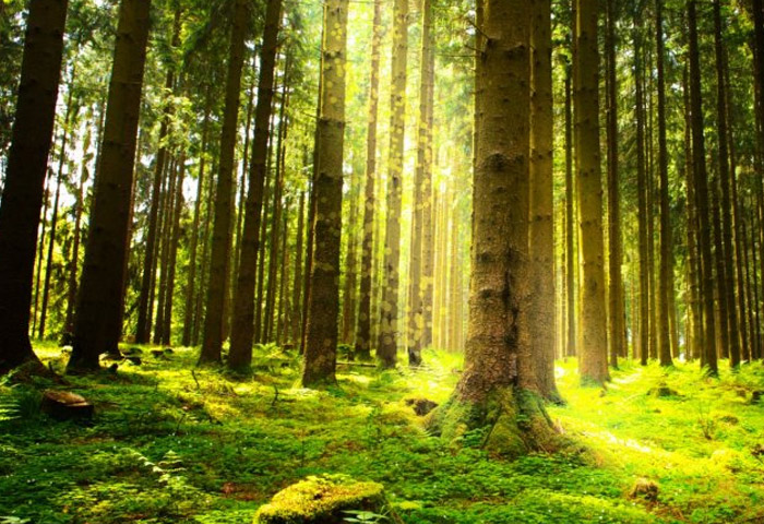 Environment respect